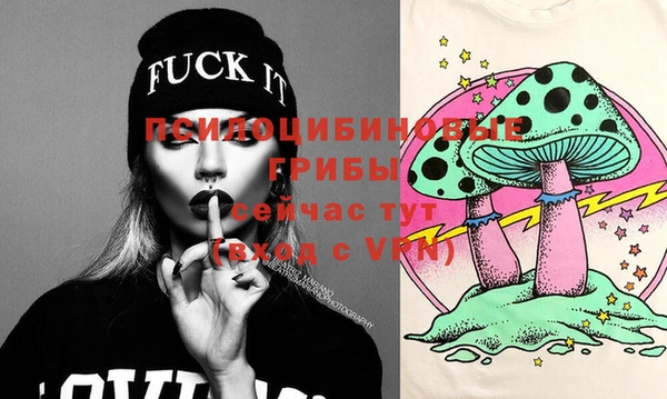 молекула духа Алексеевка