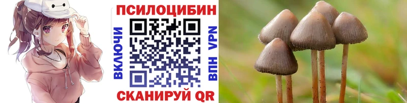 Галлюциногенные грибы Cubensis  Рыбное 